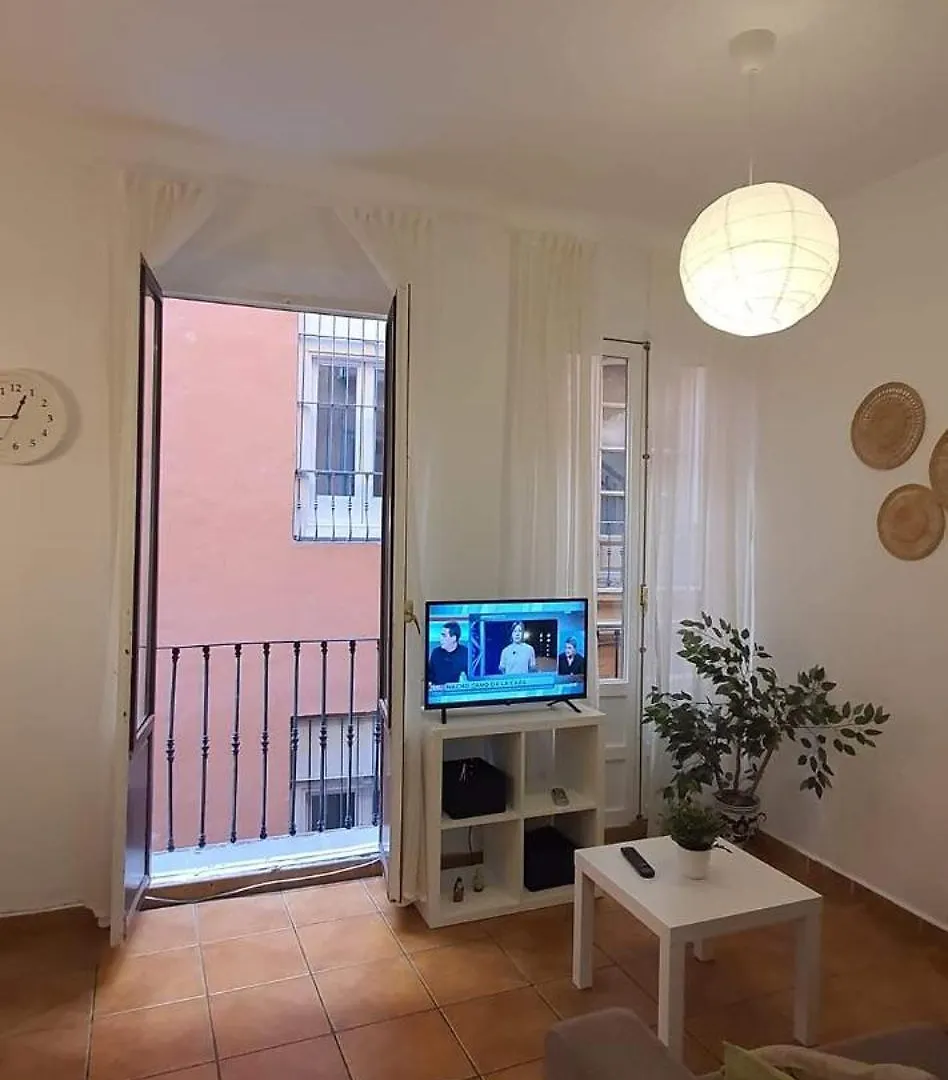 En El Corazon De Granada Apartment