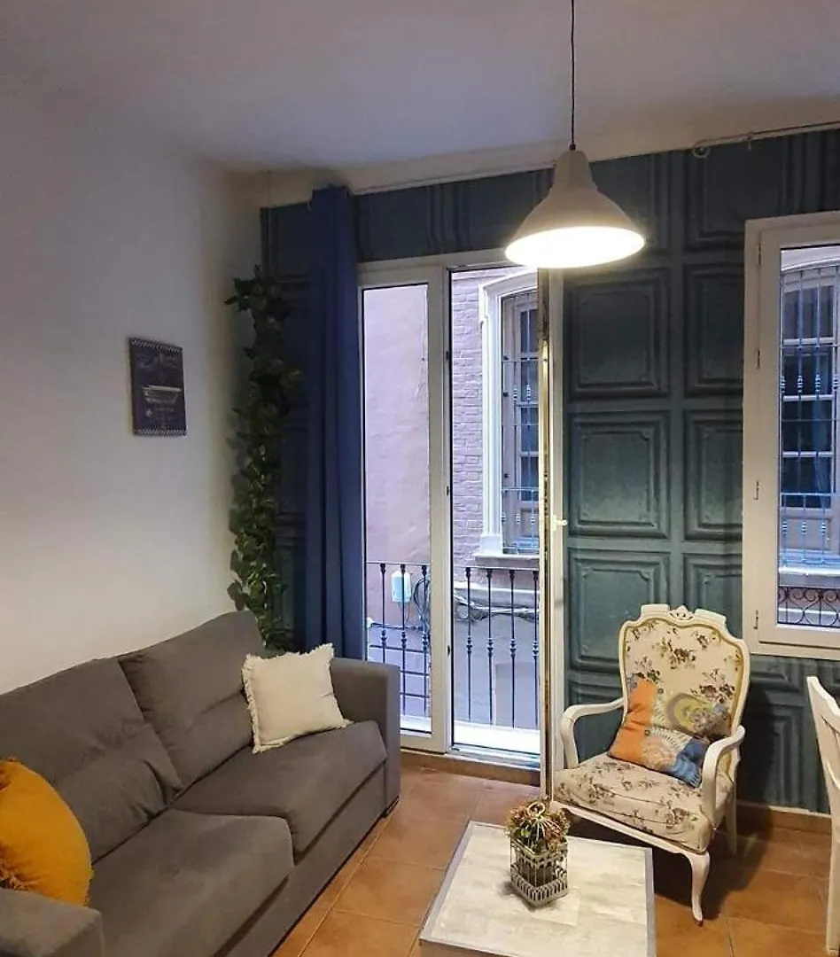 En El Corazon De Granada Apartment 0*,  Spain